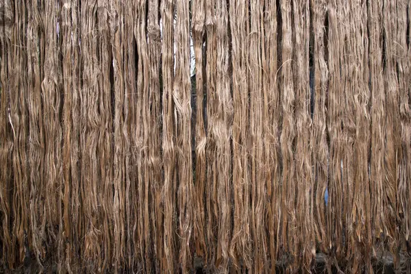 Golden Jute fiber pattern texture can be used as background wallpaper. This is the Called Golden Fiber in Bangladesh