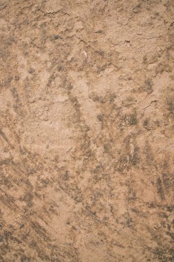 İnek gübresi alçı toprak soyut doku Arka plan Bangladeş Kırsal