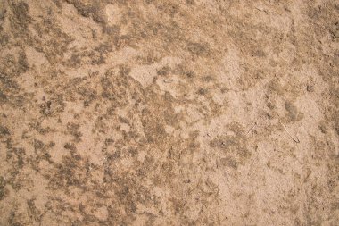 İnek gübresi alçı toprak soyut doku Arka plan Bangladeş Kırsal