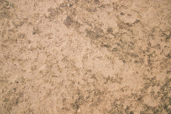 Cow Dung  brown plaster of soil  abstract Texture Background Countryside of Bangladesh