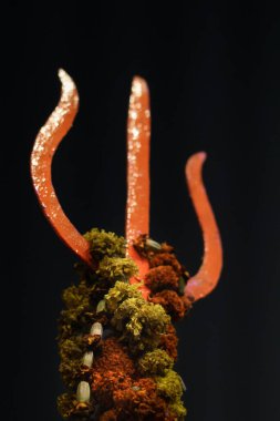 Mahadev 'in görkemli bir Trishul' u yeryüzüne karşı dimdik ayakta duruyor, gece karanlığında güzel görünüyor.