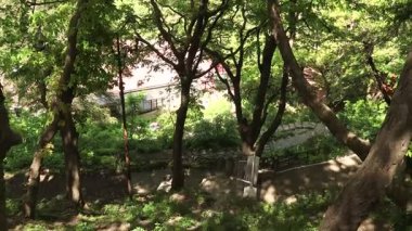 Himachal Pradesh 'in doğa ile çevrili bir dağ parkına yerleştirilmiş manzarası.