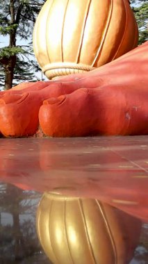 Shimla 'daki Jakhu Tapınağı' nın görkemli manzarası, Tanrı Hanuman 'a adanmıştır, açık bir gökyüzü arkaplanı ile dimdik durmaktadır.
