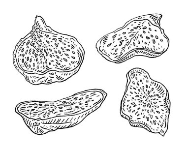 Yarı kuru incir. Vector black vintage gravür çizimi. Beyaz arka planda izole edilmiş. Etiket için el çizimi tasarım ögesi