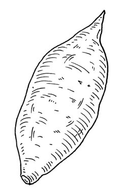 Whole batatas. Vintage engraving vector black illustration. Isolated on white background.