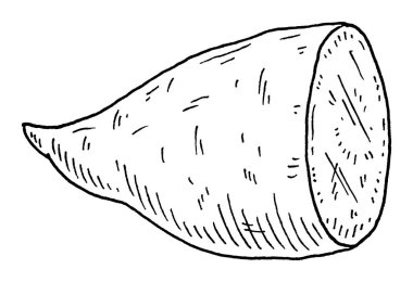 Half batatas. Vintage engraving vector black illustration. Isolated on white background.
