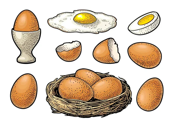 Жареные Вареные Куриные Коричневые Яйца Сломанной Скорлупой Гнездом Винтажная Цветная — стоковый вектор
