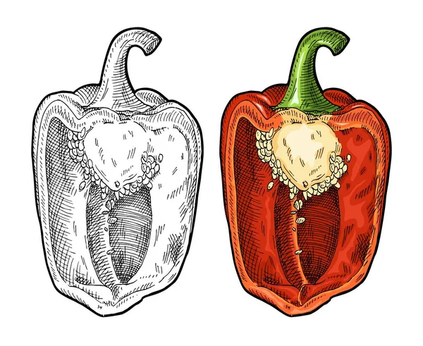 Half Red Sweet Bell Pepper Vintage Engraving Vector Color Illustration — Image vectorielle