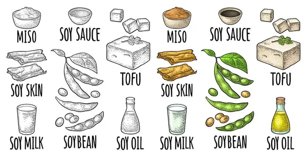 Set Alimenti Soia Miso Tofu Pelle Soia Olio Latte Salsa — Vettoriale Stock