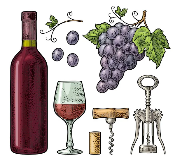 Şarap Dükkanı Için Hazır Şişe Cam Kanat Temel Tirbuşon Mantar — Stok Vektör