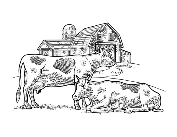 Βιολογικά Αγροκτήματα Και Αγελάδες Ελεύθερης Βοσκής Vintage Διανυσματική Χαρακτική Απεικόνιση — Διανυσματικό Αρχείο
