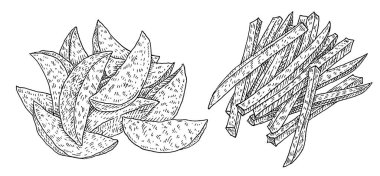 Fry slice potato. Vintage engraving vector black illustration. Isolated on white background.