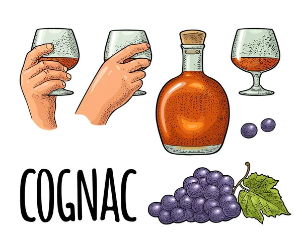 Glass Bottle Cognac Bunch Grapes Vintage Color Engraving Illustration Label — Stock Vector