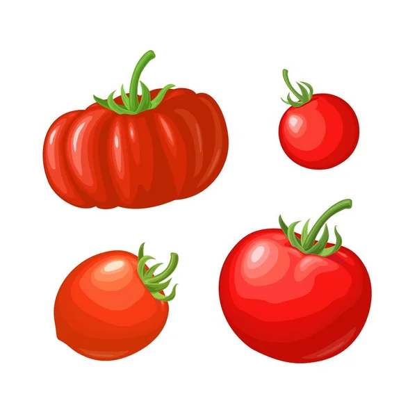 四种不同类型的西红柿 侧视图 用于海报 网页的矢量彩色平面插图 白色背景下孤立的图标 — 图库矢量图片