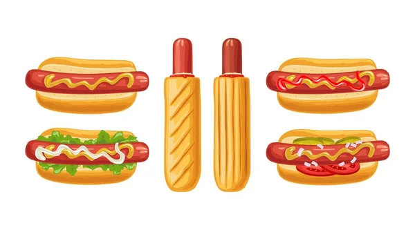 Diversi Tipi Hot Dog Con Pomodoro Ketchup Maionese Lattuga Lasciare — Vettoriale Stock