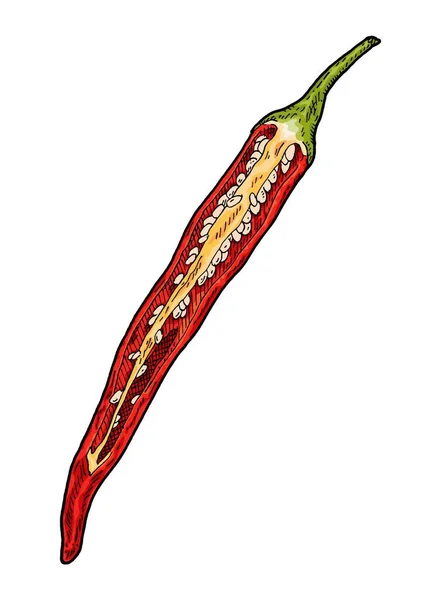 Hälften Röd Paprika Cayenne Vintage Gravyr Vektor Färg Illustration Isolerad — Stock vektor
