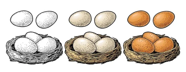 巣の中の鳥の卵 ベクトルカラーヴィンテージ彫刻イラスト 白い背景に隔離されている ポスター用手描きデザインインク要素 Happy Eastern — ストックベクタ
