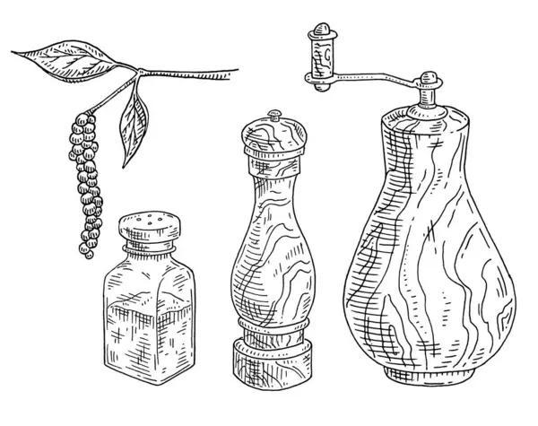 Houtmolen Glaszoutvaatje Peperplant Met Bladeren Peperkorrels Vintage Vector Gravure Zwarte — Stockvector