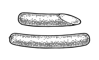 Tam ve yarım sosis. Ağ için vintage vektör oyma illüstrasyonu, poster. El çizimi tasarım ögesi beyaz arkaplanda izole edildi.