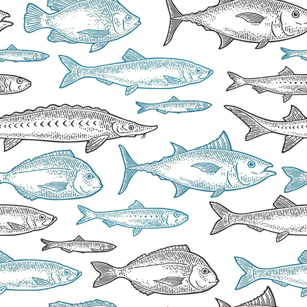 Seamless Pattern Different Types Fish Tilapia Dorado Tuna Salmon Anchovy — Stock Vector