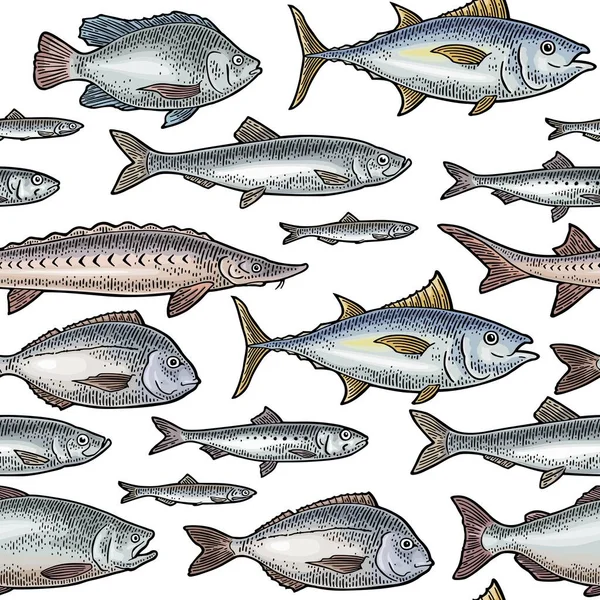 シームレスなパターン 異なる種類の魚 ヴィンテージ彫刻 — ストックベクタ