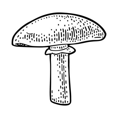 Şampiyon. Klasik monokrom vektör oyma illüstrasyonu