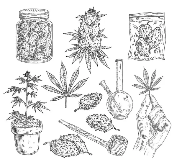Sätt Marijuana Knoppar Handtag Löv Plantera Kruka Rör Bong Glasburk — Stock vektor