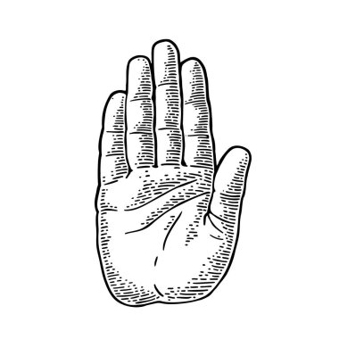 Hand showing stop gesture. Front view. Vector color and monochrome vintage engraving illustration isolated on a white background. For web, poster, info graphic. clipart