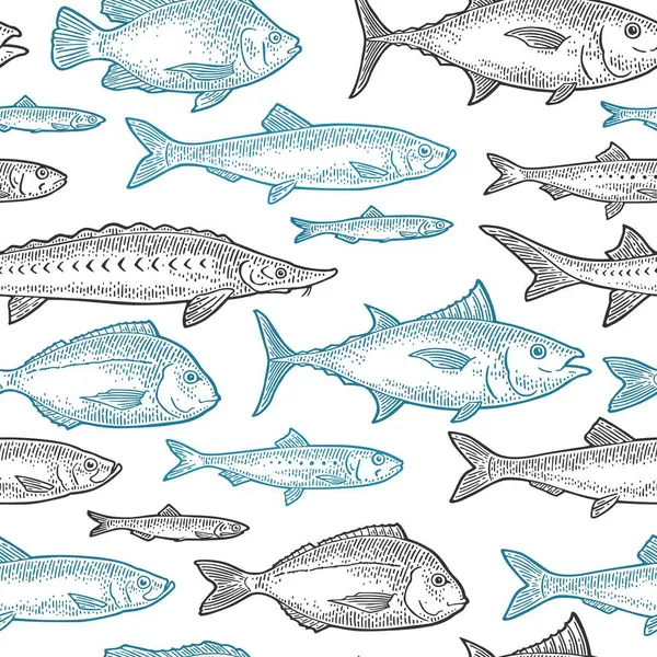 Απρόσκοπτη Μορφή Διαφορετικά Είδη Ψαριών Τιλάπια Ντοράντο Τόνος Σολομός Γαύρος — Διανυσματικό Αρχείο