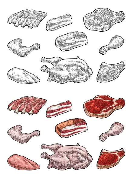 Set Fleischprodukte Brustpüree Wurst Steak Hähnchenkeule Rippenflügel Und Brusthälften Vintage — Stockvektor