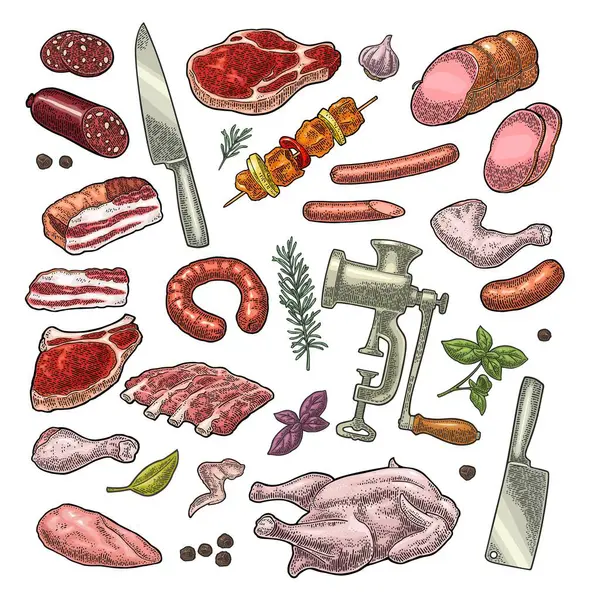 设置肉制品和厨房设备 肉磨机 百里香 古色素色矢量雕刻插图 因白人背景而被隔离 — 图库矢量图片