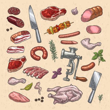 Et ürünleri ve mutfak malzemelerini hazırlayın. Göğüs eti, sosis, kıyma makinesi, biftek, tavuk budu, bıçak, kaburga, fesleğen, kekik. Klasik renk vektör oyma çizimi. Beyaz arkaplanda izole.