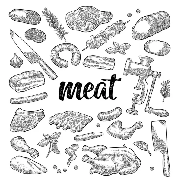Et ürünleri ve mutfak malzemelerini hazırlayın. Göğüs eti, sosis, kıyma makinesi, biftek, tavuk budu, bıçak, kaburga, fesleğen, kekik. Vintage vektör oyma çizimi. Beyaz arkaplanda izole.