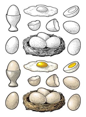 Fried and boiled chicken eggs with broken shell and nest. Vintage color vector engraving illustration for poster and label. Isolated on white background. clipart