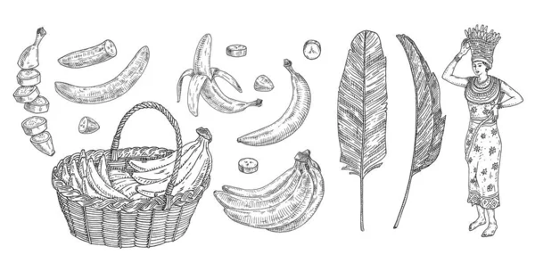 Ställ Med Färsk Banan Hela Halva Skalade Och Oskalade Frukter — Stock vektor