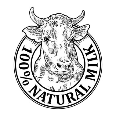 İnekler. 100 Doğal Süt harfi. Etiket için klasik vektör oyma çizimi. Grafik biçiminde çizilmiş el.