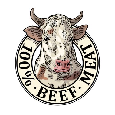 İnekler. Yüzde yüz sığır eti harfleri. Etiket için klasik vektör oyma çizimi. Grafik biçiminde çizilmiş el.