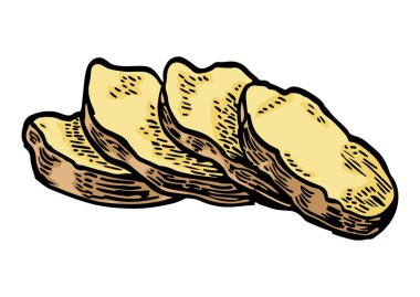 Zencefil kökü dilimi. Vector renk vintage oymacılığı. Beyaz arka planda izole edilmiş. Etiket, menü, poster için el çizimi tasarım ögesi