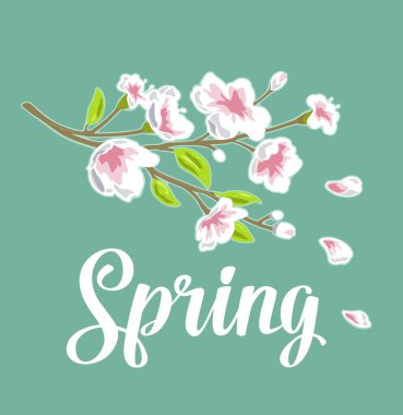 Sakura çiçeği. Bahar mektupları. Çiçekli ve tomurcuklu kiraz dalı. Yapraklar düşüyor ve uçuyor. Vektör renk illüstrasyonu.