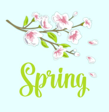 Sakura çiçeği. Bahar mektupları. Çiçekli ve tomurcuklu kiraz dalı. Yapraklar düşüyor ve uçuyor. Vektör renk illüstrasyonu.