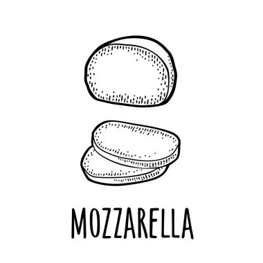 Mozzarella half and slices. Vector black vintage engraving illustration isolated on white background.