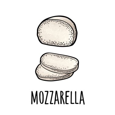 Mozzarella half and slices. Vector color vintage engraving illustration isolated on white background.