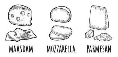 Peynir maasdam, mozzarella, parmesan peyniri. Beyaz arkaplanda izole edilmiş vektör siyah vintage oymacılığı.