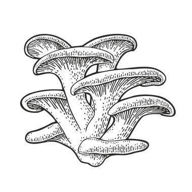 Mantar istiridyesi. Klasik monokrom siyah vektör oymacılığı beyaza izole edilmiş. El çizimi tasarım ögesi