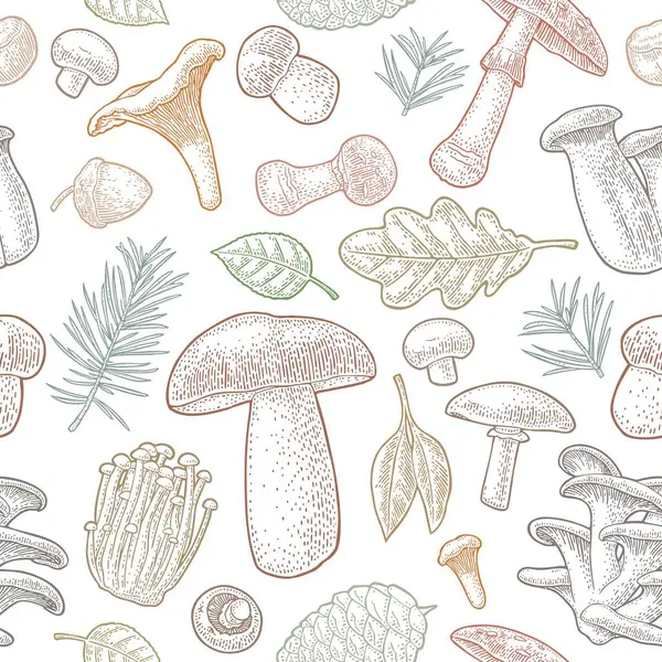 Kusursuz desenli mantar. Vintage vektör oyma renk çizimi. Beyazda izole edilmiş