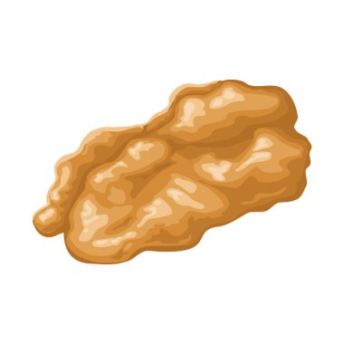 Kabuksuz ceviz. Vektör rengi gerçekçi illüstrasyon. Beyaz arkaplanda izole.