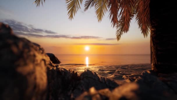 Опыт Ultimate Beach Getaway Потрясающим Видом Восход Солнца — стоковое видео