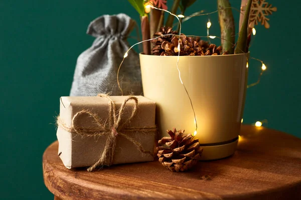 Zamiokulky Zdobené Gerlandem Dřevěnými Hračkami Vánoční Stromeček Vyrobený Rostliny Dárkové — Stock fotografie