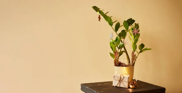 Zamiokulky Zdobené Gerlandem Dřevěnými Hračkami Vánoční Stromeček Vyrobený Rostliny Dárkové — Stock fotografie