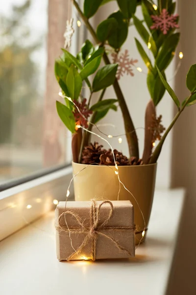 Zamioculcas Διακοσμημένα Και Ξύλινα Παιχνίδια Χριστουγεννιάτικο Δέντρο Φτιαγμένο Από Φυτό — Φωτογραφία Αρχείου